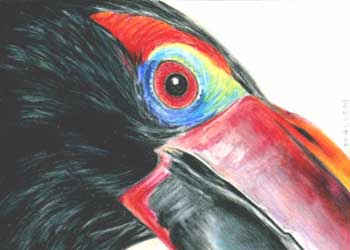 "I'm Ready For My Close Up, Mr. De Mille" by Miira Allen, Merrill WI - Colored Pencil (NFS)